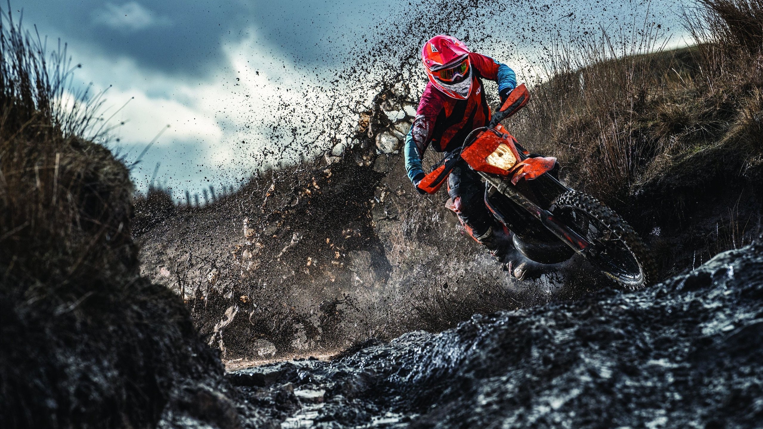 世界杯话题热度榜:球员哭泣画面比进球集锦更刷屏